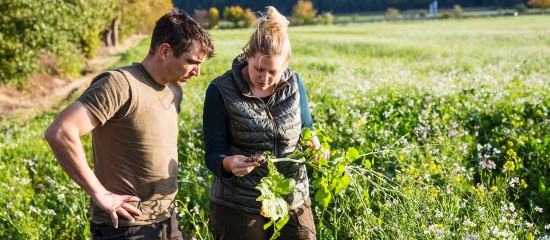 Décès d’un exploitant agricole : à qui est attribué le bail rural ?